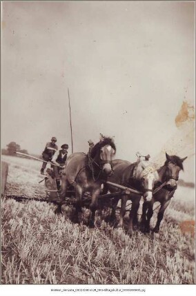 Mähmaschine mit Dreigespann