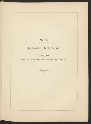 Nr. 38. Gellert's Butterbirne