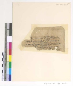 Rom. VIII, 26