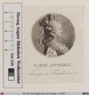 Bildnis Marie Antoinette, Königin von Frankreich, geb. Erzherzogin von Österreich