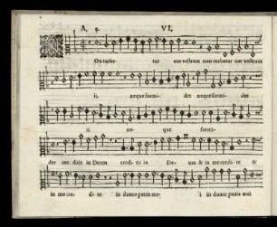 VI. Non turbetur cor vestrum