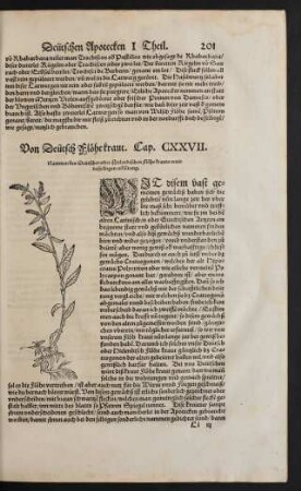 Von Deütsch Flöhe kraut. Cap. CXXVII.