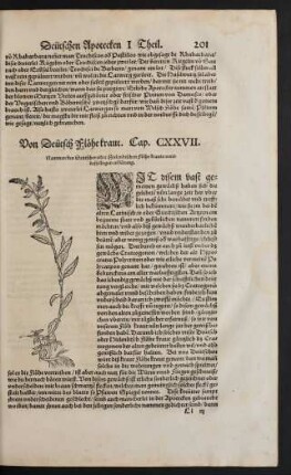 Von Deütsch Flöhe kraut. Cap. CXXVII.