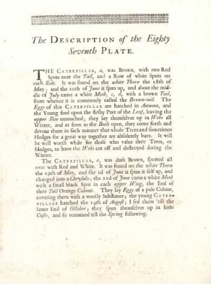 The Description of the Eighty Seventh Plate