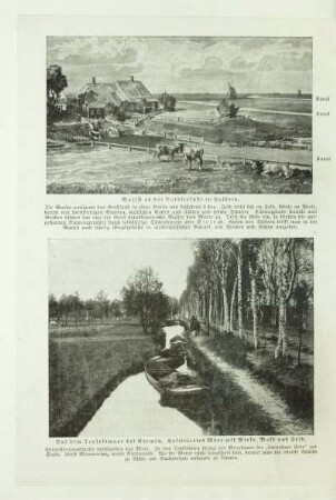 Aus dem Teufelsmoor bei Bremen. Kultiviertes Moor mit Wiese, Wald und Feld