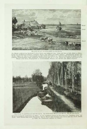 Aus dem Teufelsmoor bei Bremen. Kultiviertes Moor mit Wiese, Wald und Feld
