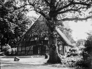 Haus mit Reetdach : Blick auf die Front eines Reet gedeckten Hauses, davor Hühner