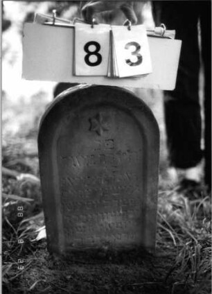 Grabstein 83 (Index: 100096148) Maße HxBxT: 46x31x8 cm Symbolik: Rosette Besonderheit: Kindergrab: Grabstein 83