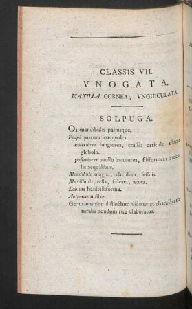 Classis VII. Unogata.