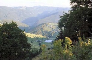 Schauinsland: Feldberg mit Schneehaube; vom Schauinsland