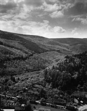 Landschaft bei Hirschhorn (Neckar)