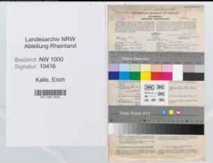 Entnazifizierung Erich Kalle, geb. 12.02.1895 (Vers.Kaufmann)