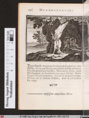 Thetis sous plusieurs formes.