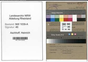 Entnazifizierung Heinrich Aschhoff , geb. 13.04.1906 (Angestellter)