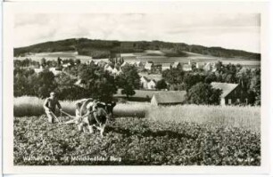 Wilthen. mit Mönchswalder Berg