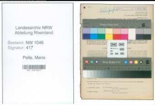 Entnazifizierung Maria Pelle , geb. 15.08.1916 (Amtsangestellte)