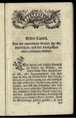 Erstes Kapitel. Von der natürlichen Gestalt der Geburtstheile, und den Kennzeichen einer erlittenen Geburt.