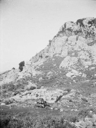 Zalongos Felsen : Blick auf den Zalongos Felsen