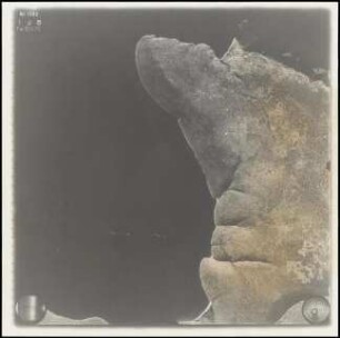 Aufnahme 031