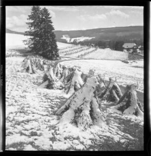 Wintereinbruch zur Erntezeit