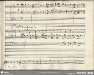Figlio di questo seno - Mus.2413-J-1,10 : S, strings, bc
