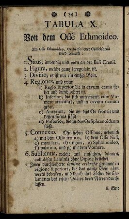 Tabula X. Von dem Osse Ethmoideo.