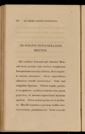 De Sceleto Novo-Hollandi Secundi