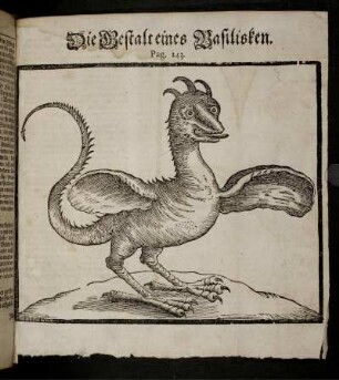 Illustration "Die Gestalt eines Basilisken"