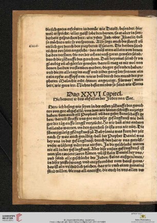 Das XXVI Capitel