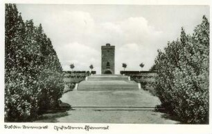 Postkarte, Soldin (Neumark)