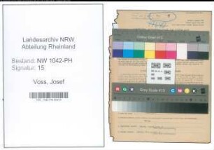 Entnazifizierung Josef Voss , geb. 12.12.1913 (Tierarzt)
