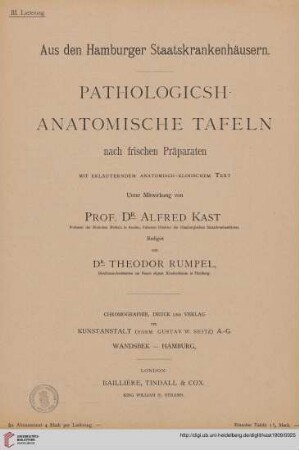 Heft 3: Pathologisch-anatomische Tafeln