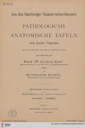 Heft 3: Pathologisch-anatomische Tafeln