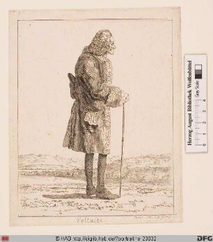 Bildnis Voltaire (eig. François-Marie Arouet)
