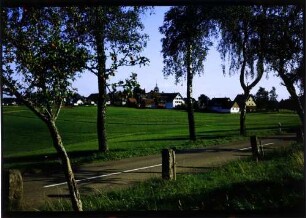 Schömberg: Straße mit Birken