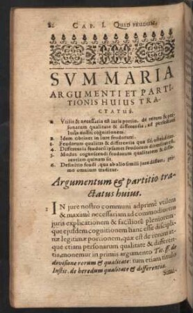 Summaria argumenti et partitionis huius tractatus.