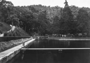 Künstliches Wasserbecke : Ein künstlich angelegtes Wasserbecken mit einem Betonrand und einem Steg. Im Hintergrund Bäume.
