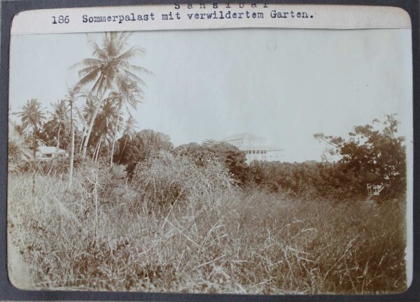 Zanzibar. Summer palace with overgrown garden