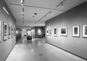 Carl Gustav Carus. Natur und Idee, eine Ausstellung der Staatlichen Kunstsammlungen Dresden und der Staatlichen Museen zu Berlin ; 26. Juni bis 20. September 2009 ; die Ausstellung des Kupferstich-Kabinetts und der Galerie Neue Meister der Staatlichen Kunstsammlungen Dresden findet an zwei Orten statt: Gemäldegalerie Alte Meister ..., Residenzschloss Dresden... Raumaufnahme in der Abteilung Kohlezeichnungen