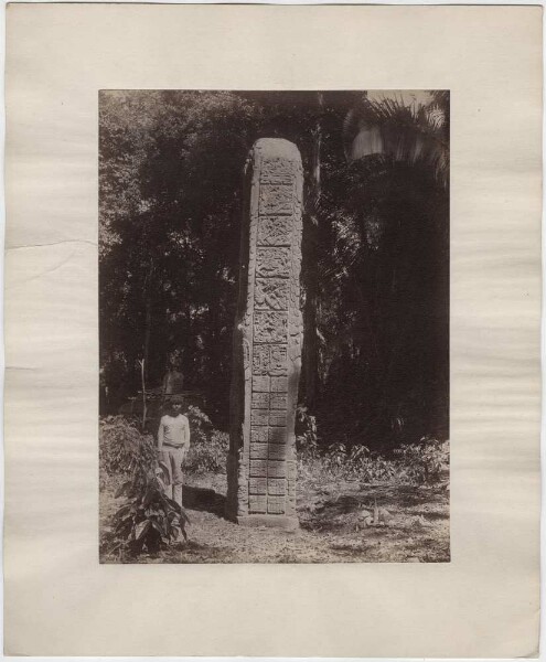 Stele 3 (D). Front (north) side