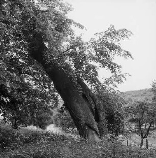 ehem. Gerichtsstätte; Herleshausen, Fernberg
