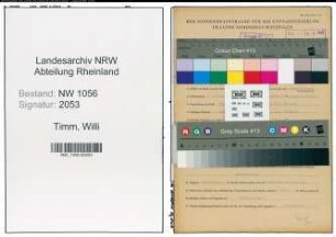 Entnazifizierung Willi Timm , geb. 06.10.1910 (Angestellter)