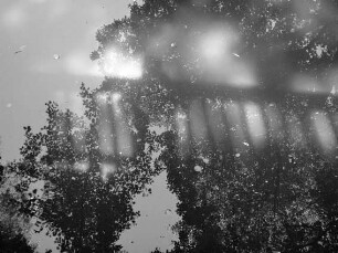 0204_AltruppinSW