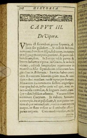 Caput III. De Vipera.