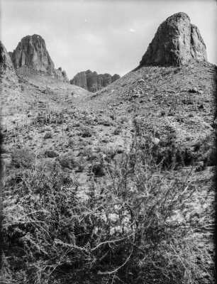 Felsen in Arizona : Felsen in einer Hügelandschaft nahe des Roosevelt Dam