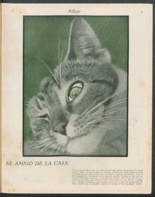 El amigo de la casa