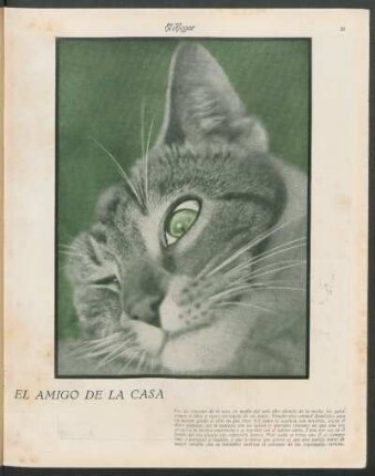 El amigo de la casa