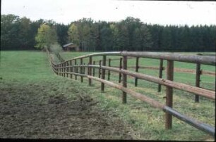 Fotografie: Pferdehaltung, Laufstallhaltung