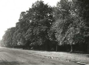 Dresden. Johann-Georg-Garten (Blüher-Park). Blick von Nordost über die Albrechtstraße (Blüherstraße)