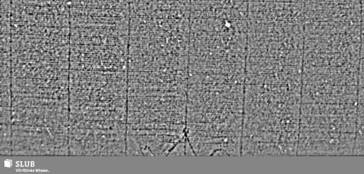 Wasserzeichen S.49_50